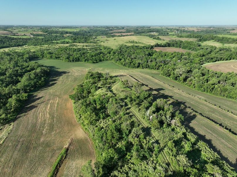 dji_fly_20260601_080254_527_1780319424583_photo