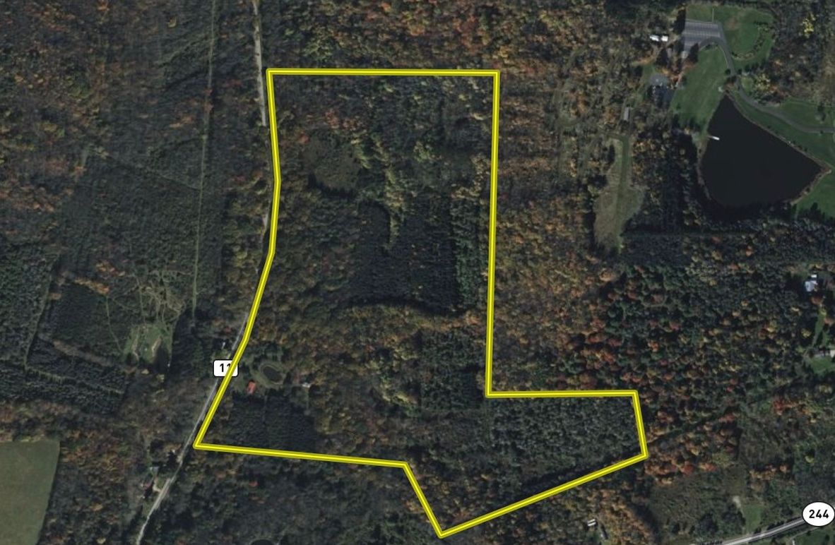 2 Screenshot 2025-03-15 at 9.00.24 AM