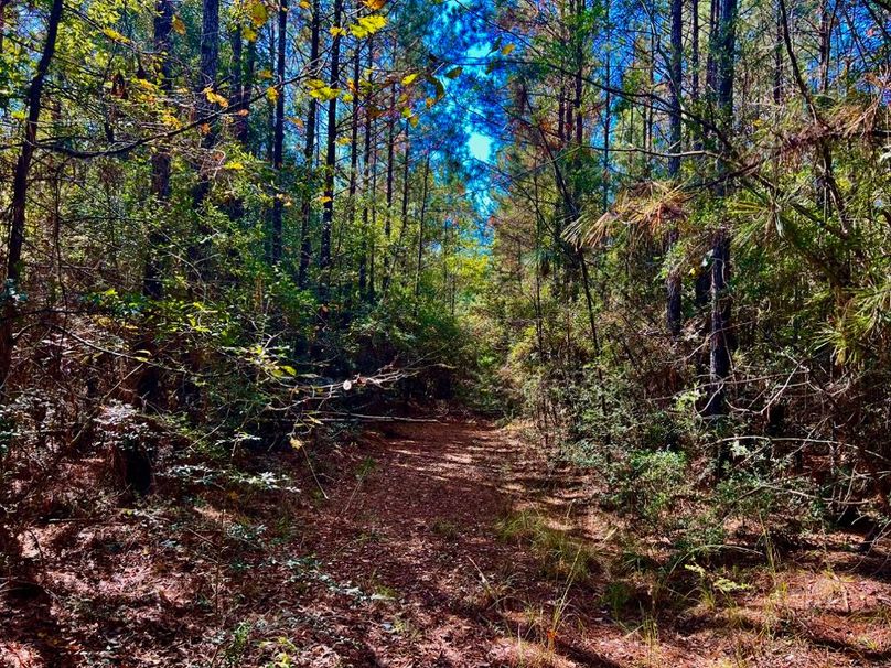 D7629AB0-FB86-4DD0-818A-3C56DDD64B40_1_201_a