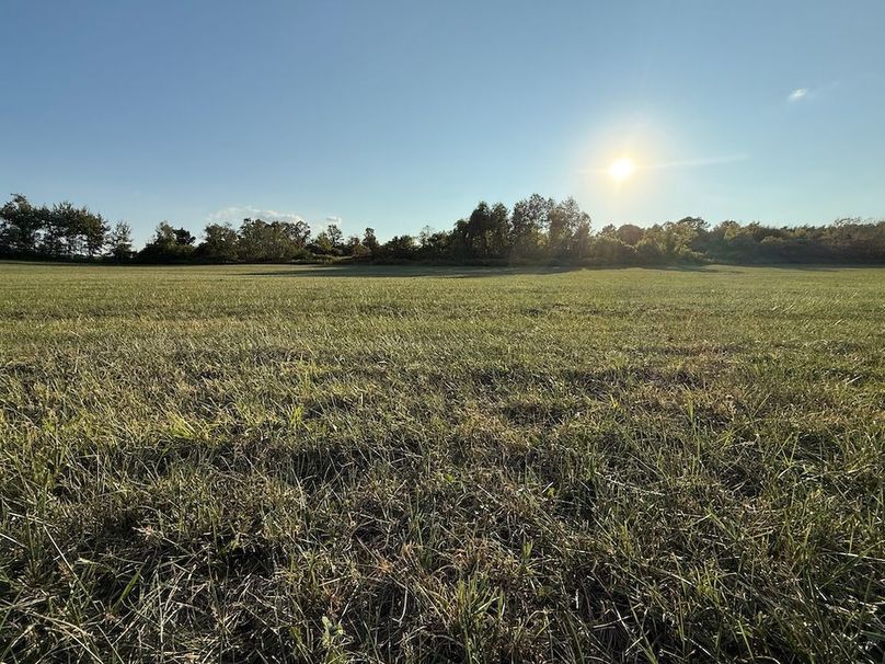 Copy of Wood Tract 6 Photo 16