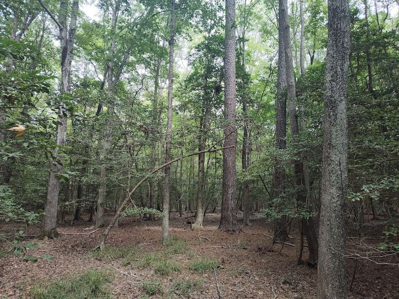 IMG_20250830_133053807