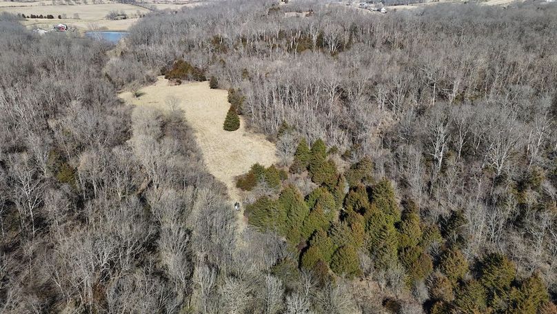 DJI_20240206125159_0029_D