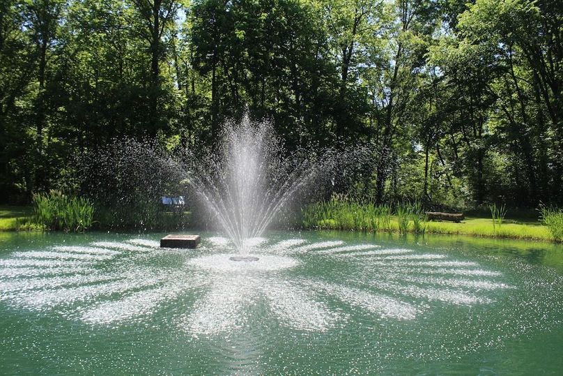 pond 6