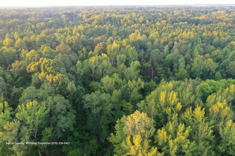 DeSoto 109 Prewett -20