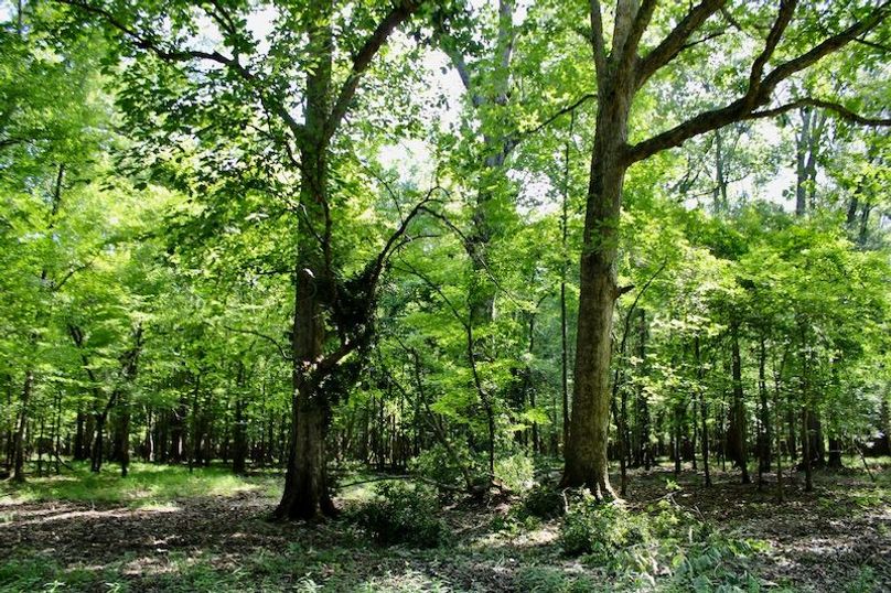 6F5B3989-87AB-4C47-9C1D-B9C270808500_1_201_a