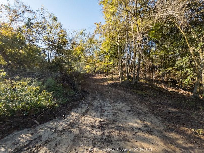 Claiborne Co-189-Geronimo-16