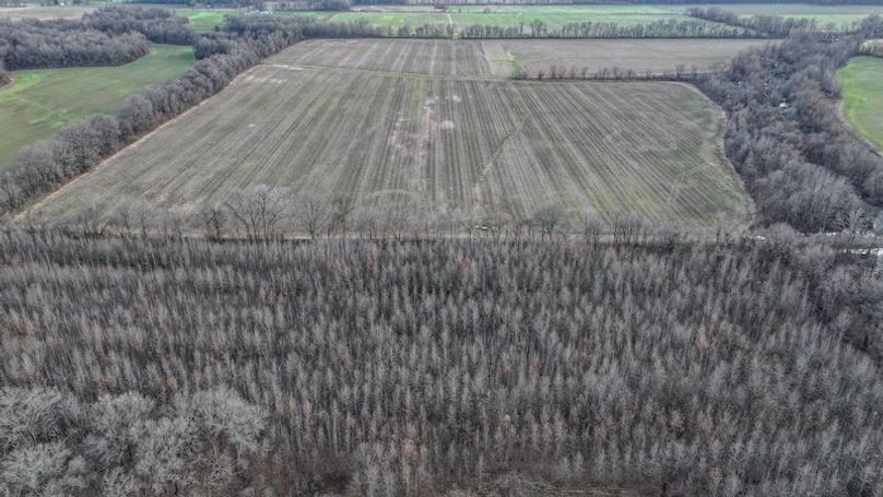 Phillips 8.5 Trahan -06