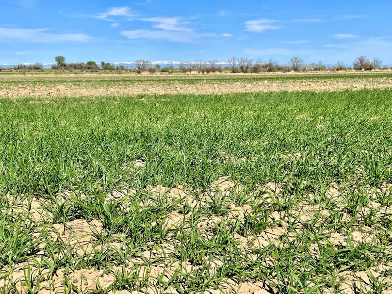 371ACBAF-409E-4C67-8B07-CD3F69C83E26_1_105_c