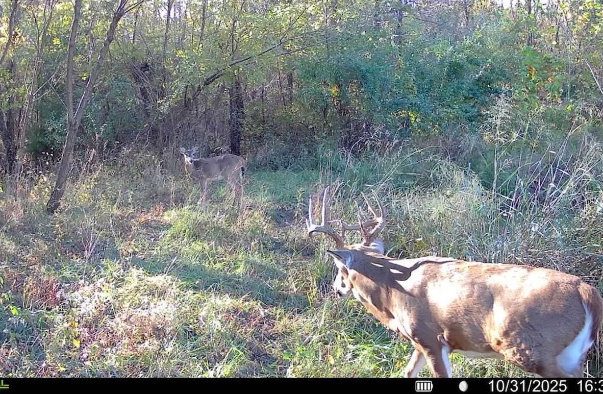 2 - 2026-01-30T110920.176