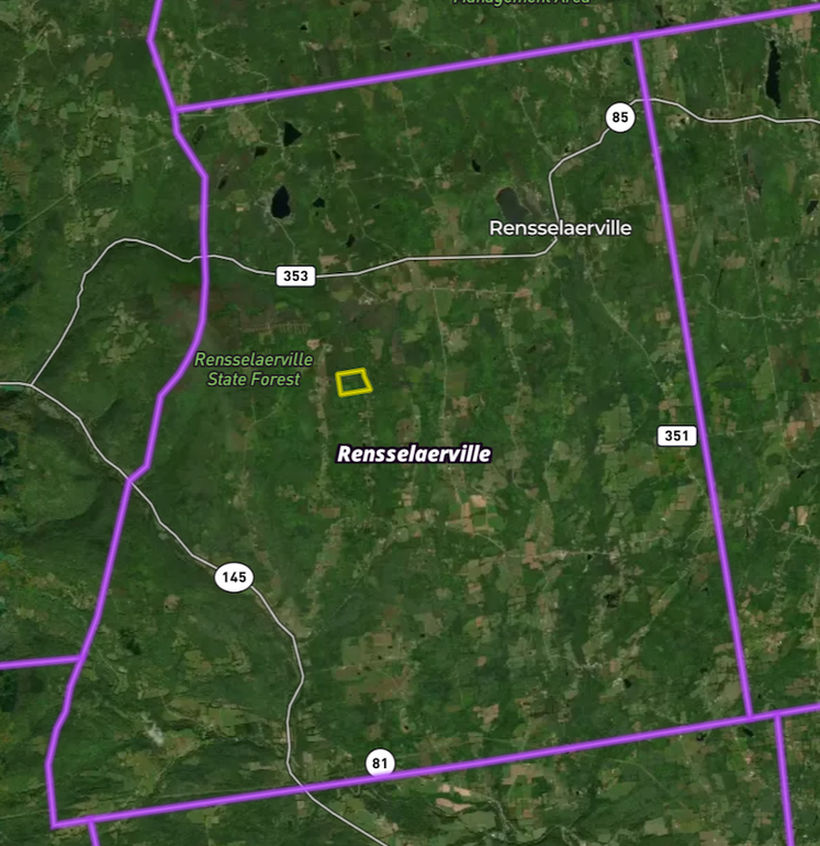 Albany Co 59.5 Neuman Township map