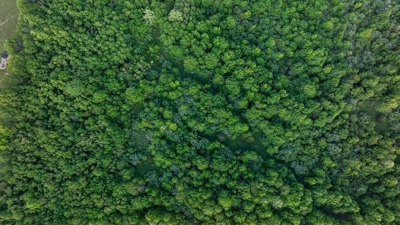 DJI_20260426182658_0024_D