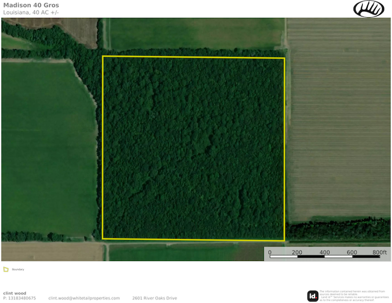 Madison 40 Gros  close