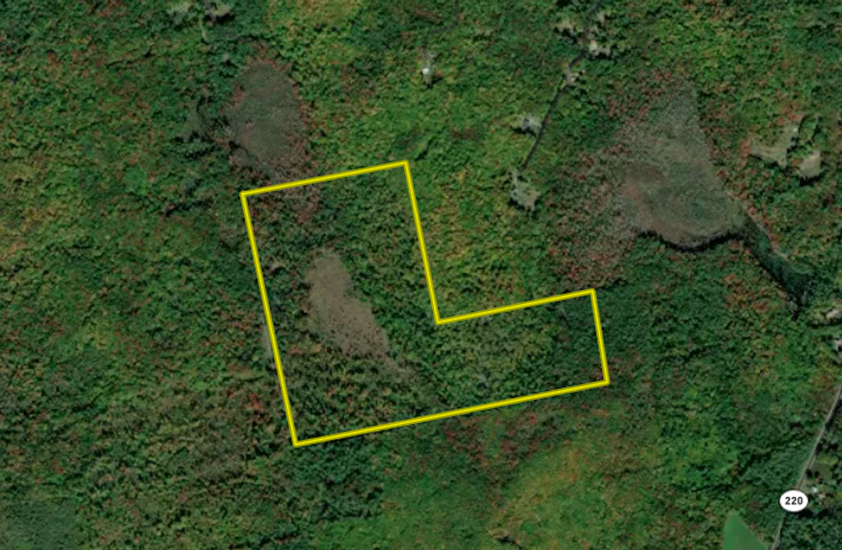 Screenshot 2026-01-31 at 3.17.58 PM