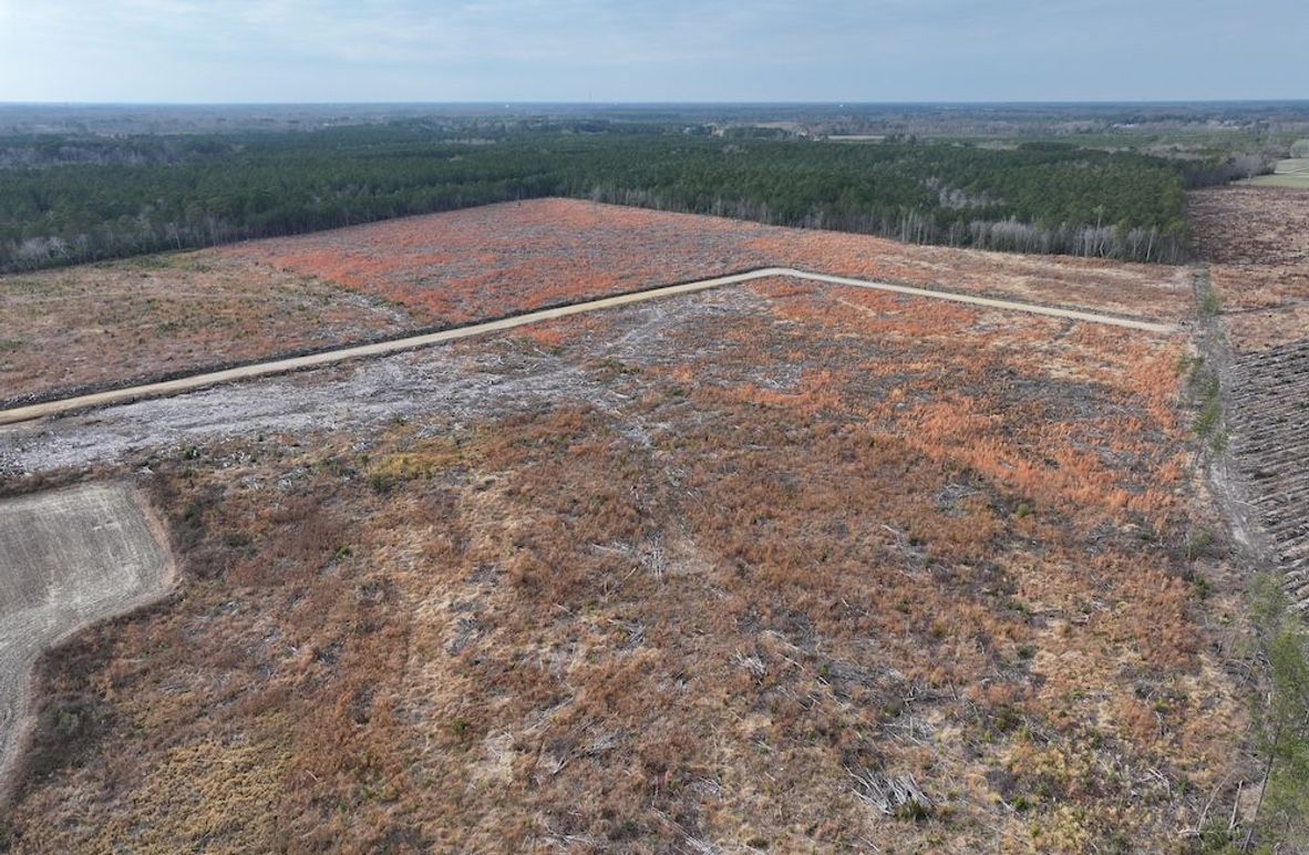 Copy of dji_fly_20251224_150900_0251_1767705632758_photo