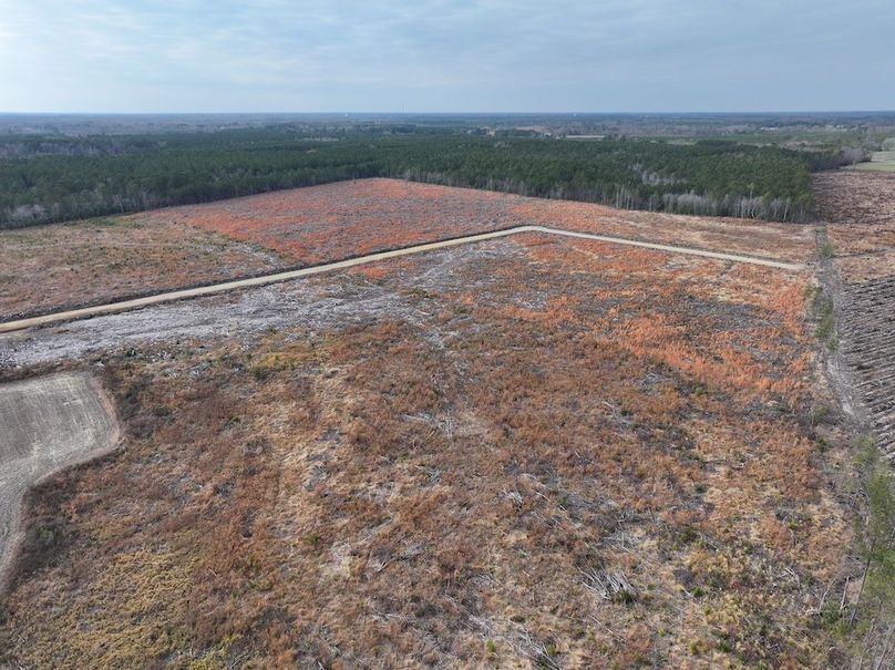 Copy of dji_fly_20251224_150900_0251_1767705632758_photo