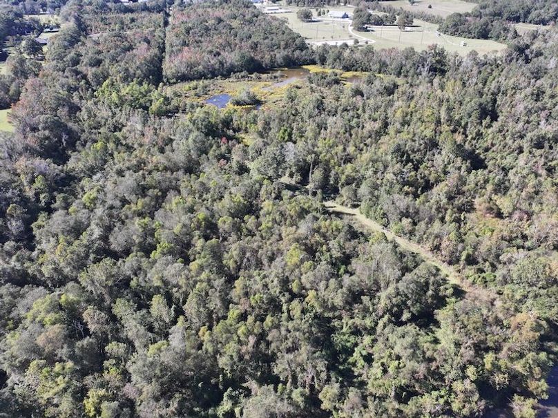 dji_fly_20251103_140954_0701_1762362213057_photo