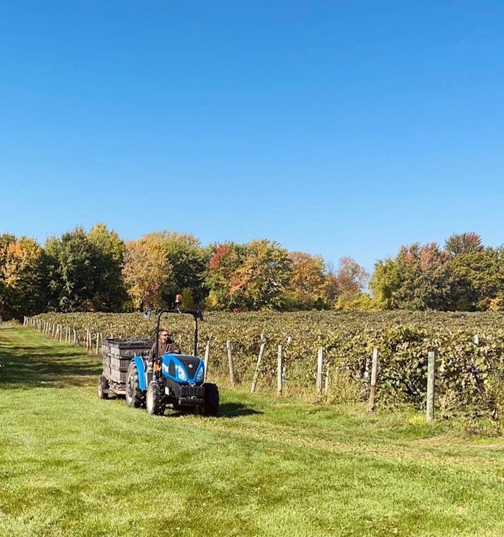 IMG_20260302_152927 (3)