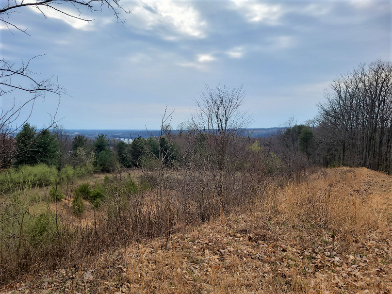 2.87ac_CokesburyRd_CECIL_PIC_007