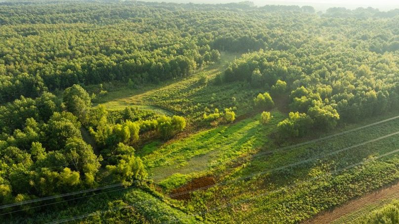 MadisonParLa1372-087