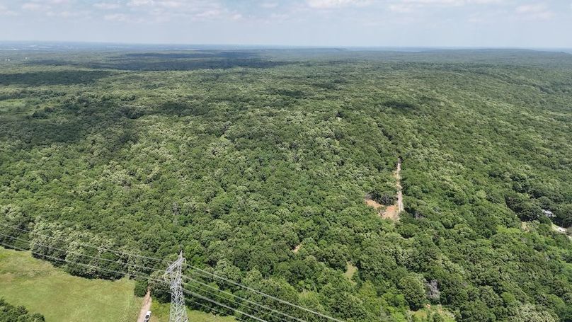 DJI_20240521132918_0001_D