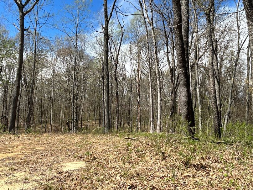 image4