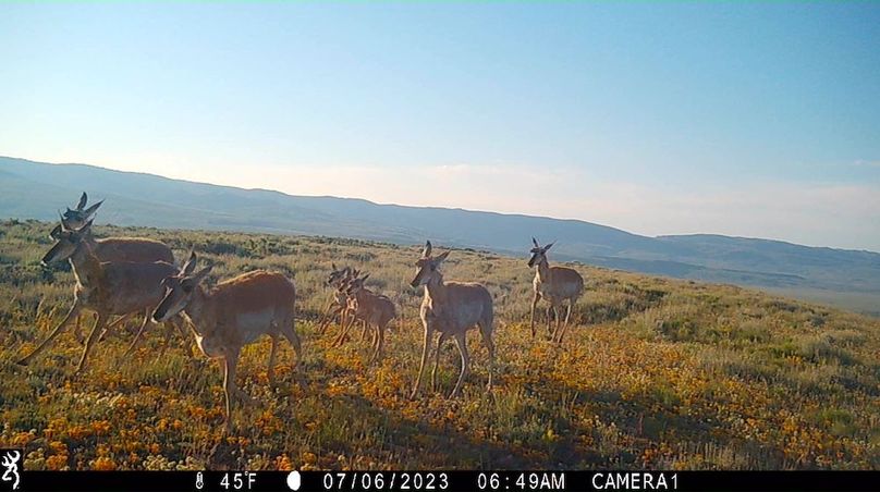 IMG_0035 - frame at 0m0s