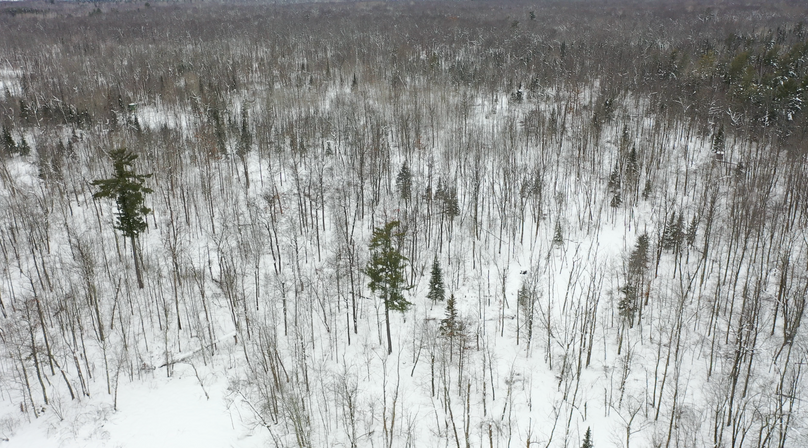 Screenshot 2023-01-18 at 3.23.22 PM