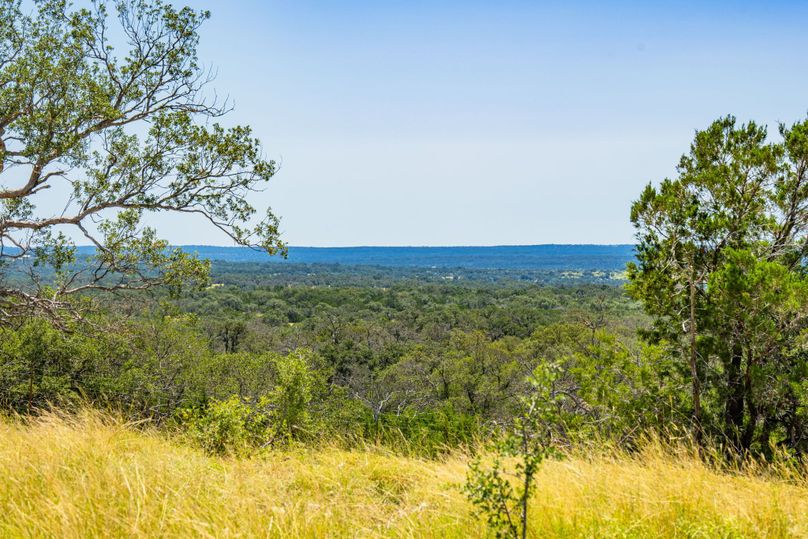 16-web-or-mls-DSC08406