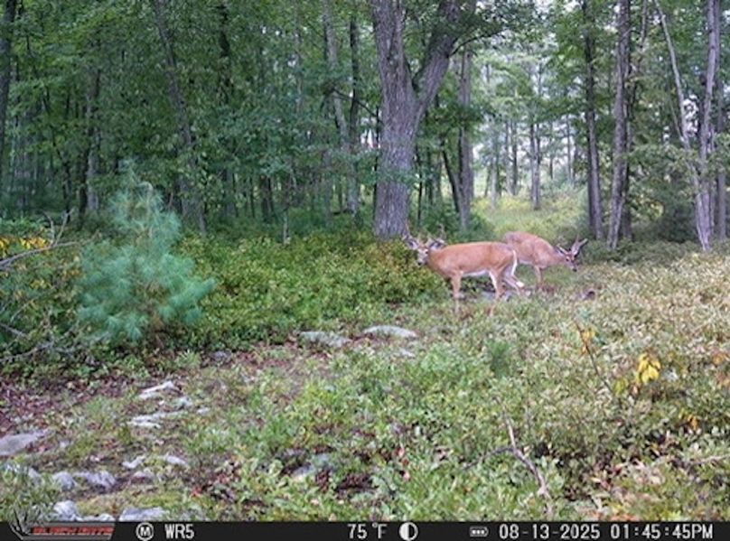 6C585F18-A8D8-4E1E-ABED-1BCFD912B21E_4_5005_c