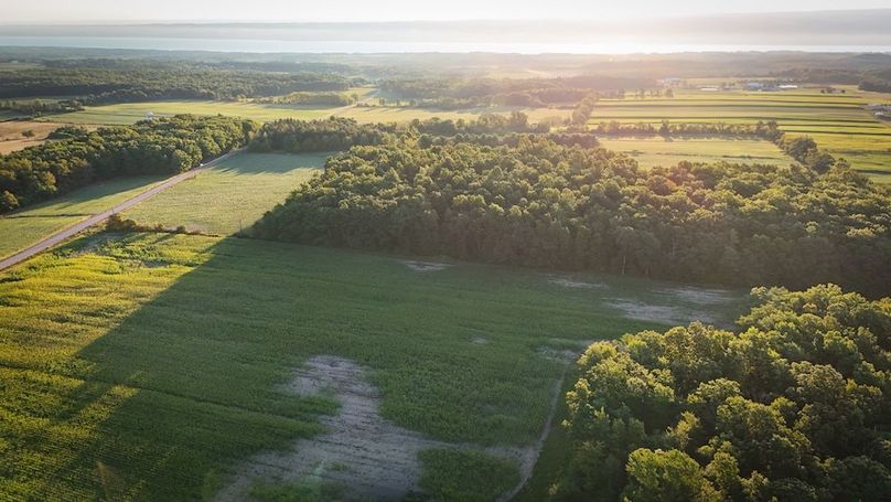 Copy of Wood Tract 4 Photo 6