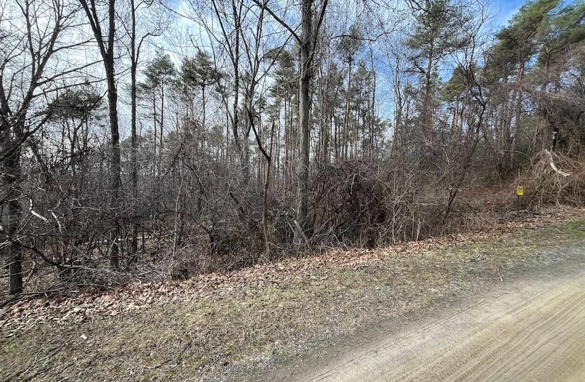 Yates_11.492_Mezer Photo 1