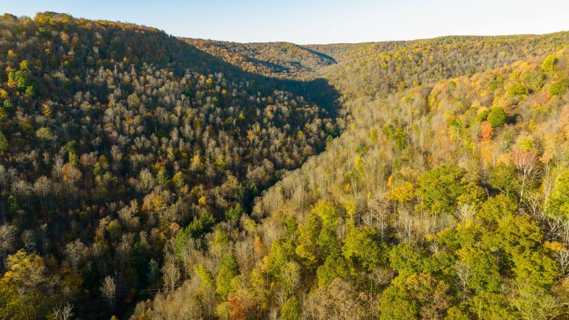 Elk PA 7000 Feature_Pro Photo-82