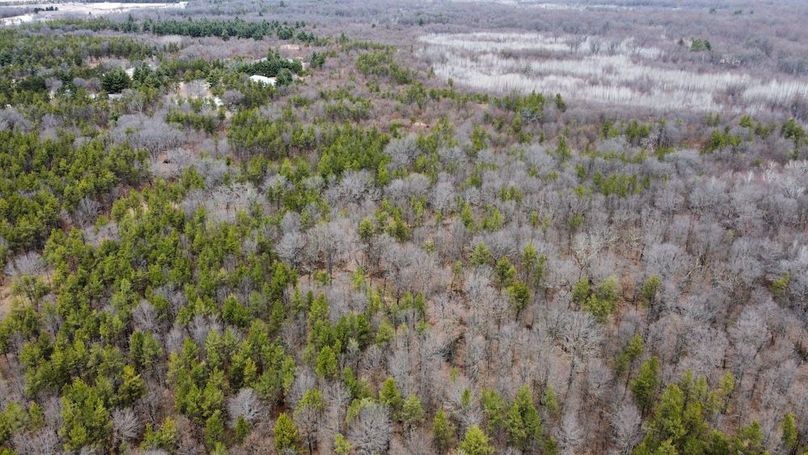 dji_fly_20250404_130300_748_1744067513277_photo_optimized 2