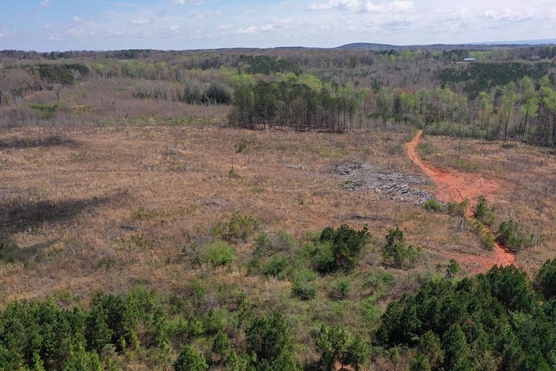 Copy of 200ftCardinal-5