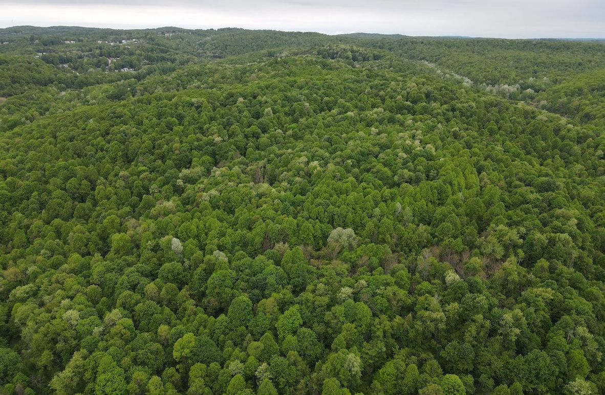 dji_fly_20240511_115328_92_1715442821181_photo(1)