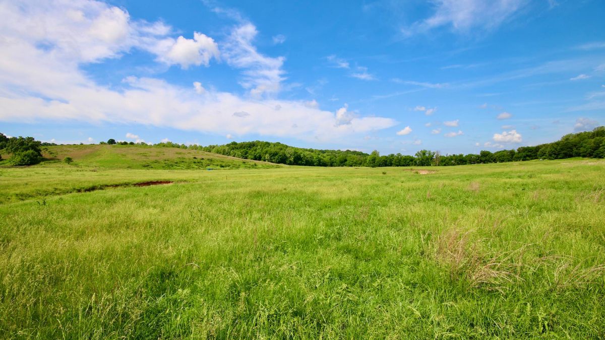 Spectacular Turnkey Cattle Farm Whitetail Properties