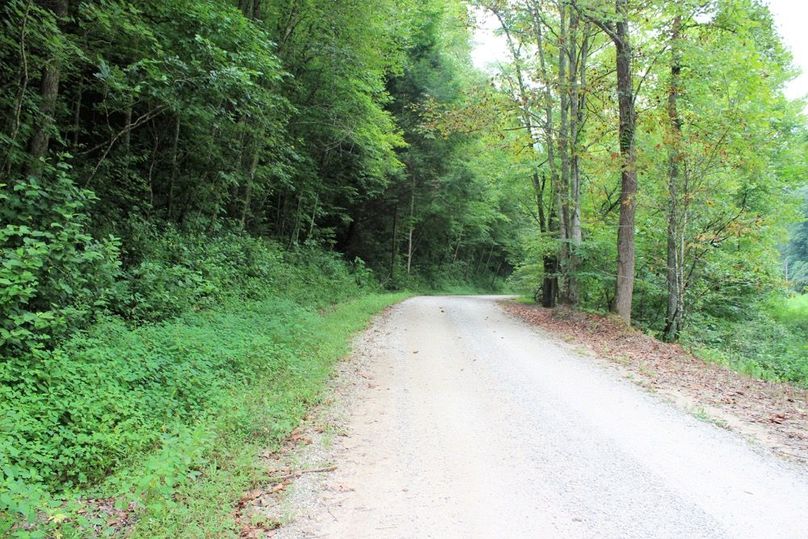 005 gravel county road alongside the eastern portion of the property