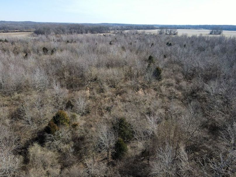 vandalia 450 (2)-1806