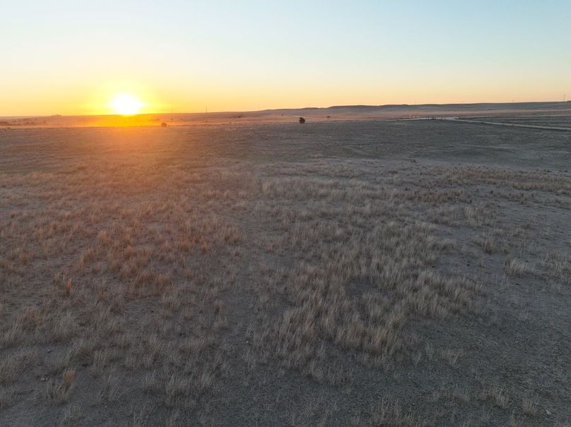 dji_fly_20240404_072414_885_1712233866053_photo