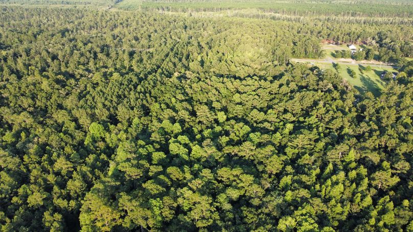 dji_fly_20230624_192452_56_1687649100241_photo_optimized