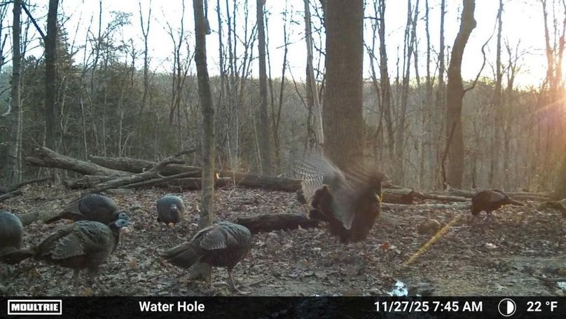 Temp_2337651-20251127124636-100MFCAM_MFDC6255