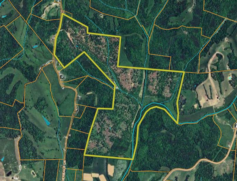 Screenshot 2025-08-12 at 12.18.54 PM