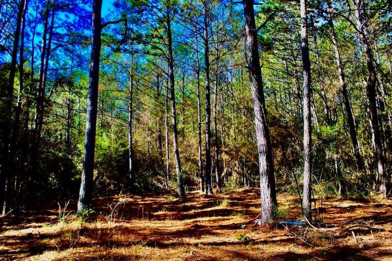 F2A8A63B-DE27-47A9-89DD-2B725416B0C2_1_105_c