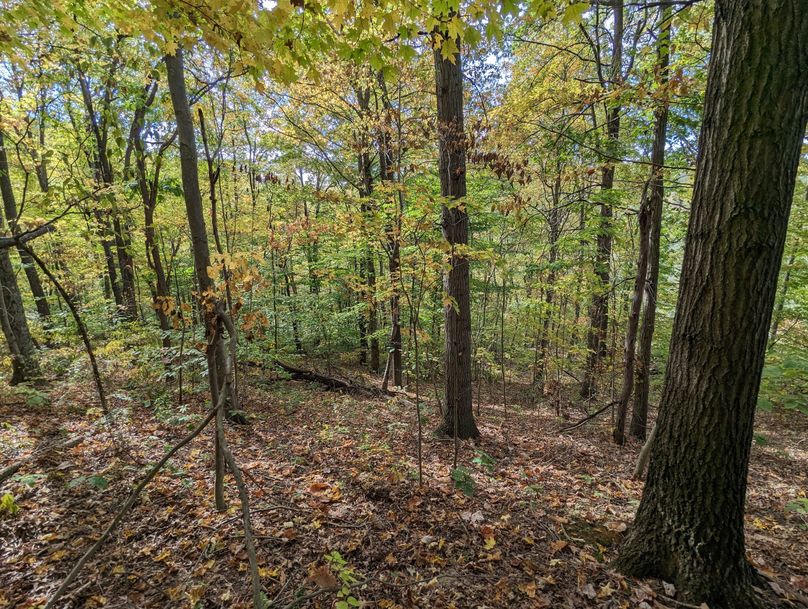 PXL_20231004_192936485