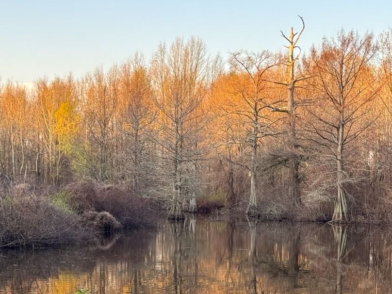 Panola 164.7 SPI Land Ventures-8