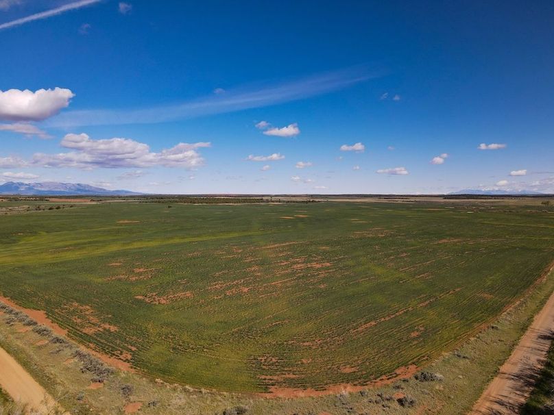 DJI_0096