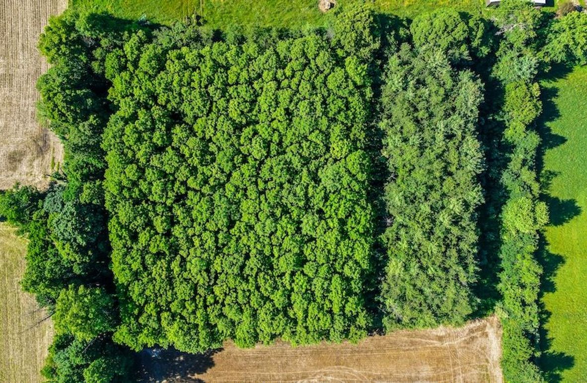 dji_fly_20260530_093944_0106_1780149227494_photo