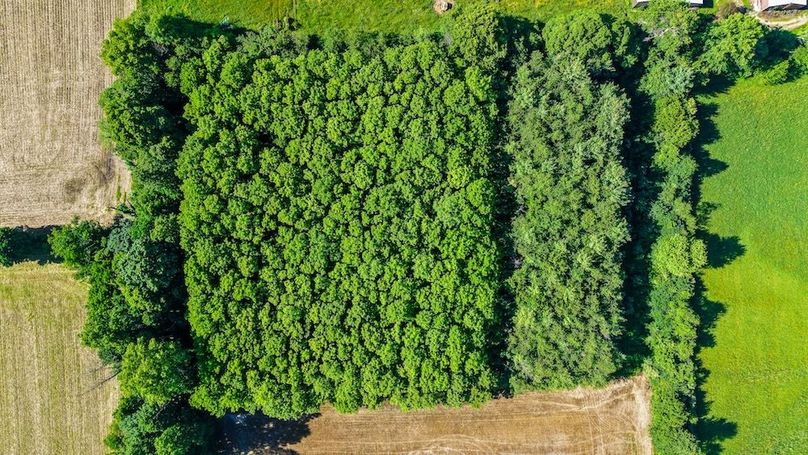 dji_fly_20260530_093944_0106_1780149227494_photo