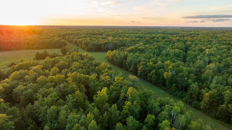 Cass MN 1095 Featured ProPhoto-47