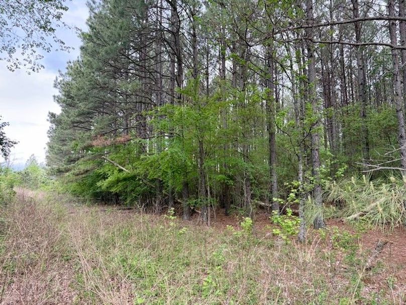 3C38BB70-980B-4E70-8AEC-C5EB77552213_1_105_c